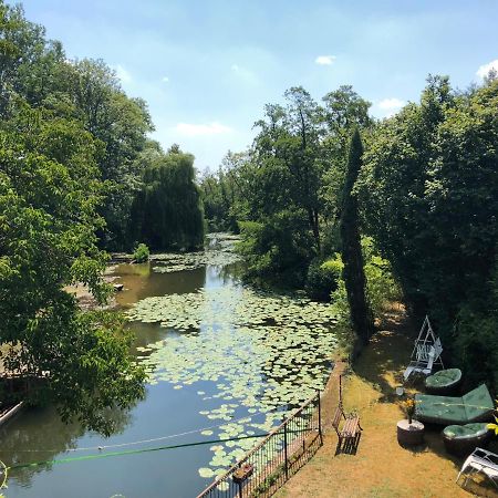 Villa Magnifique Moulin Proche Chablis, Jacuzzi Et Riviere Annay-sur-Serein Exterior foto