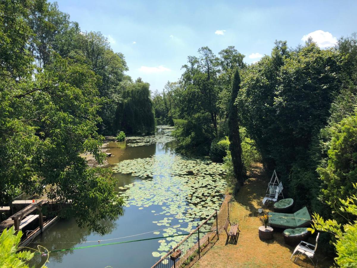 Villa Magnifique Moulin Proche Chablis, Jacuzzi Et Riviere Annay-sur-Serein Exterior foto