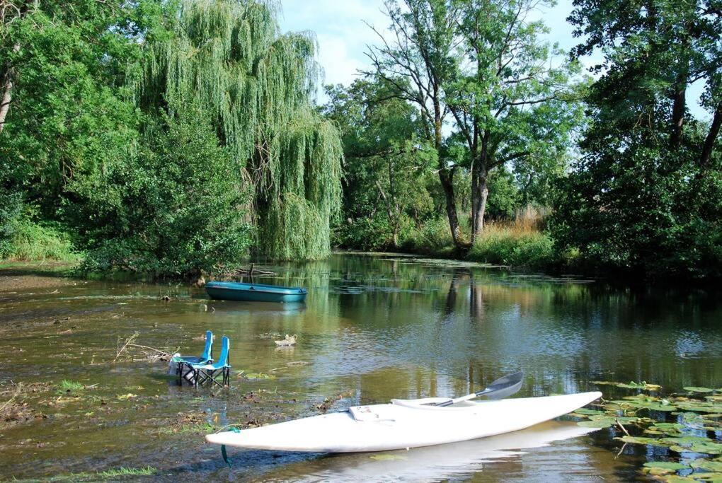 Villa Magnifique Moulin Proche Chablis, Jacuzzi Et Riviere Annay-sur-Serein Exterior foto