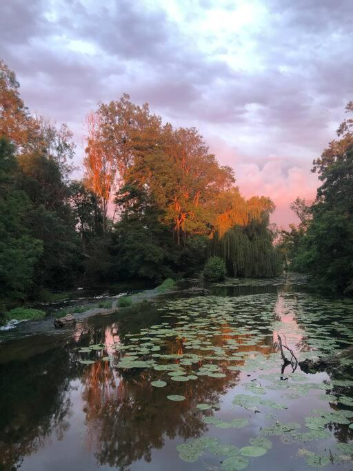 Villa Magnifique Moulin Proche Chablis, Jacuzzi Et Riviere Annay-sur-Serein Exterior foto