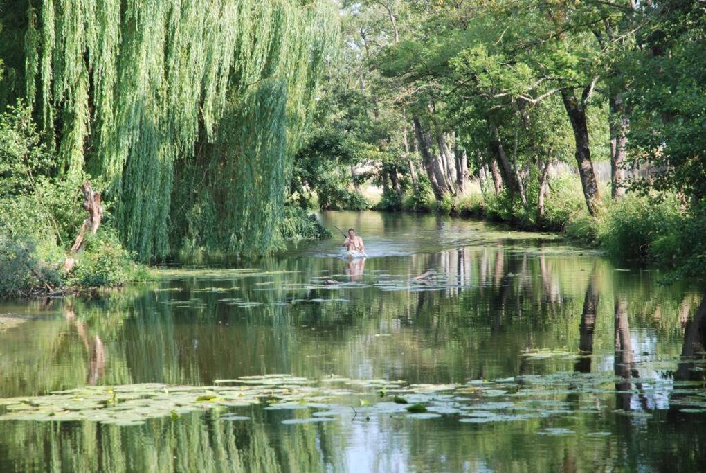 Villa Magnifique Moulin Proche Chablis, Jacuzzi Et Riviere Annay-sur-Serein Exterior foto