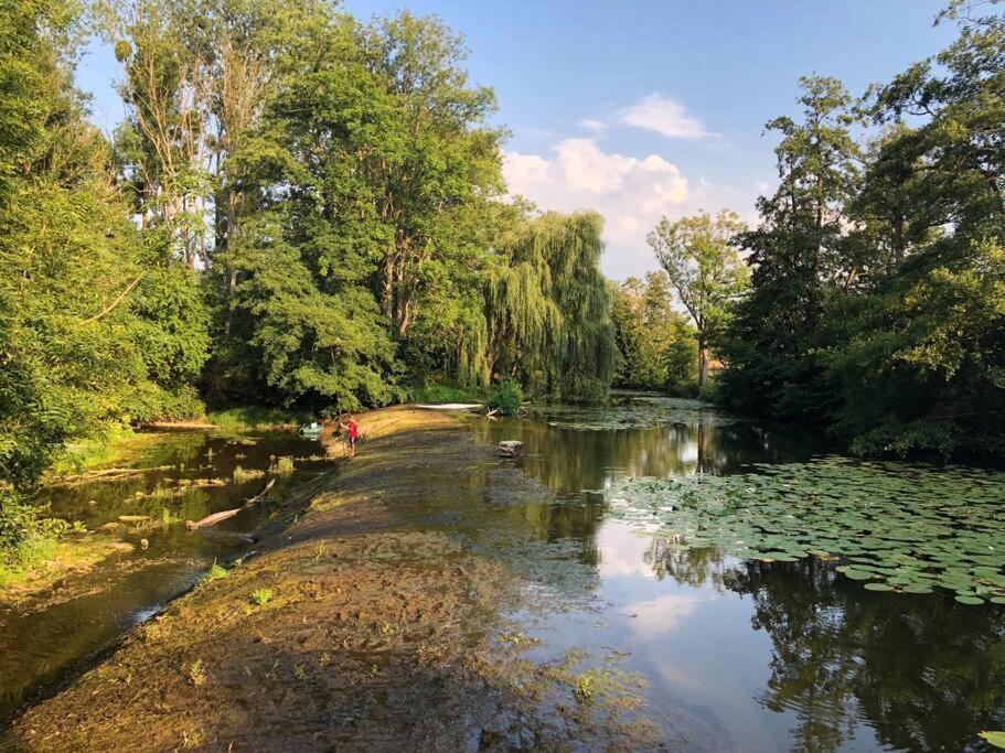 Villa Magnifique Moulin Proche Chablis, Jacuzzi Et Riviere Annay-sur-Serein Exterior foto
