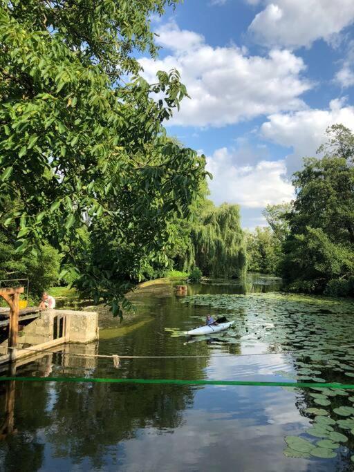 Villa Magnifique Moulin Proche Chablis, Jacuzzi Et Riviere Annay-sur-Serein Exterior foto