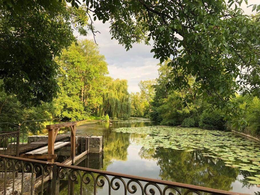 Villa Magnifique Moulin Proche Chablis, Jacuzzi Et Riviere Annay-sur-Serein Exterior foto